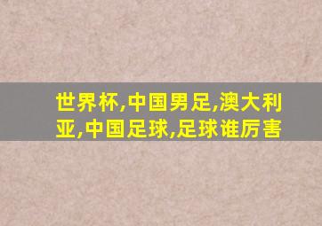 世界杯,中国男足,澳大利亚,中国足球,足球谁厉害