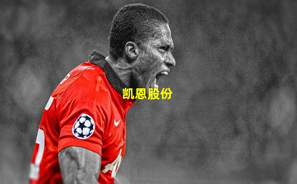 凯恩股份