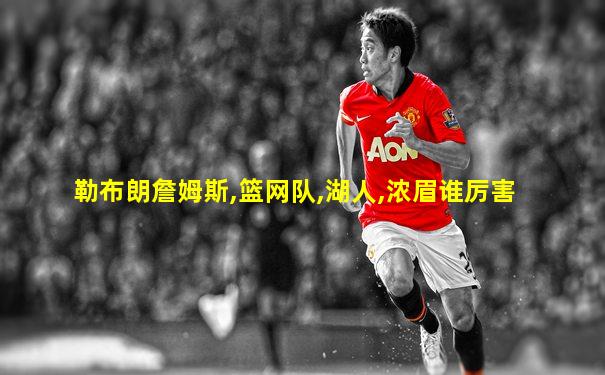 勒布朗詹姆斯,篮网队,湖人,浓眉谁厉害