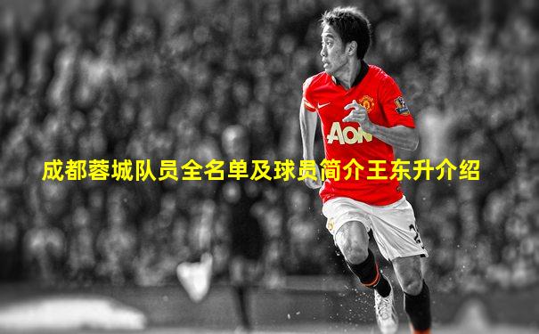 成都蓉城队员全名单及球员简介王东升介绍