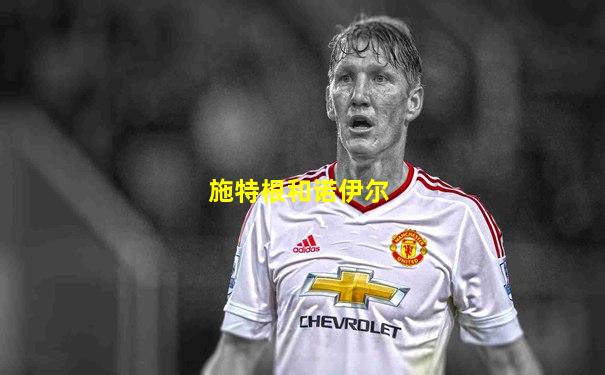 施特根和诺伊尔