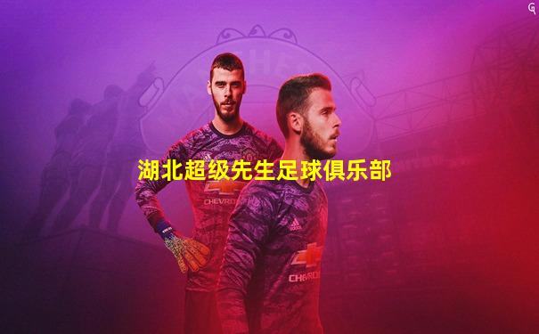 湖北超级先生足球俱乐部