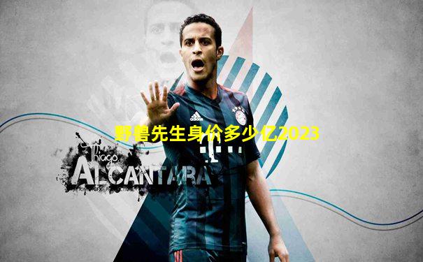 野兽先生身价多少亿2023