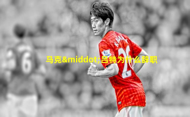 马克·吕特为什么辞职