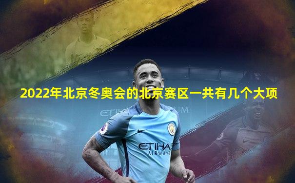 2022年北京冬奥会的北京赛区一共有几个大项