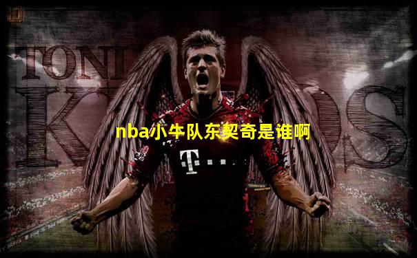 nba小牛队东契奇是谁啊