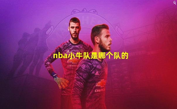 nba小牛队是哪个队的
