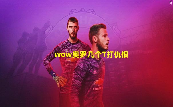 wow奥罗几个T打仇恨