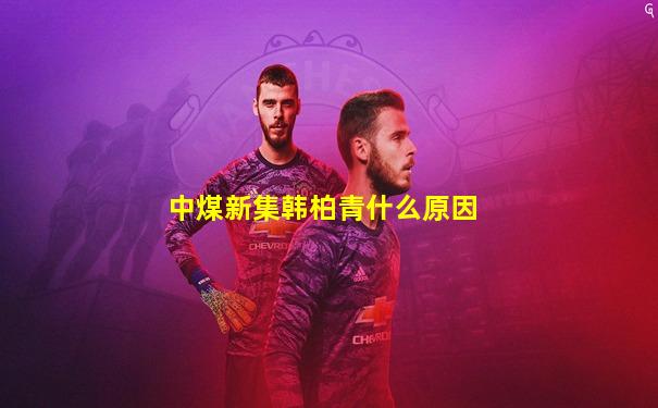 中煤新集韩柏青什么原因