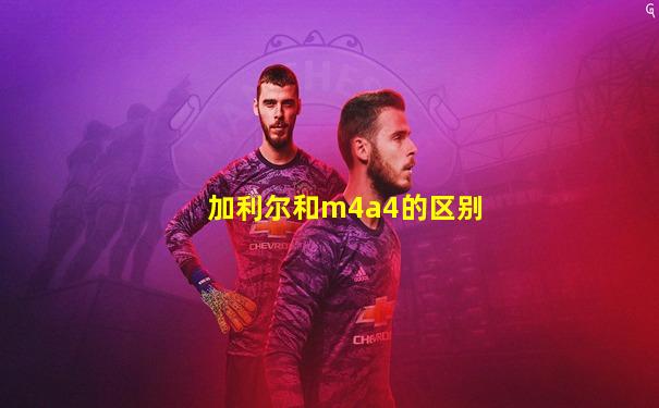 加利尔和m4a4的区别