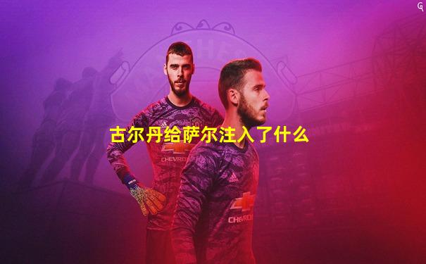 古尔丹给萨尔注入了什么