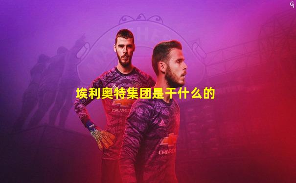 埃利奥特集团是干什么的