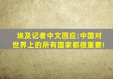 埃及记者中文回应:中国对世界上的所有国家都很重要!