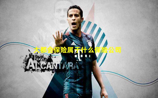 大都会保险属于什么保险公司