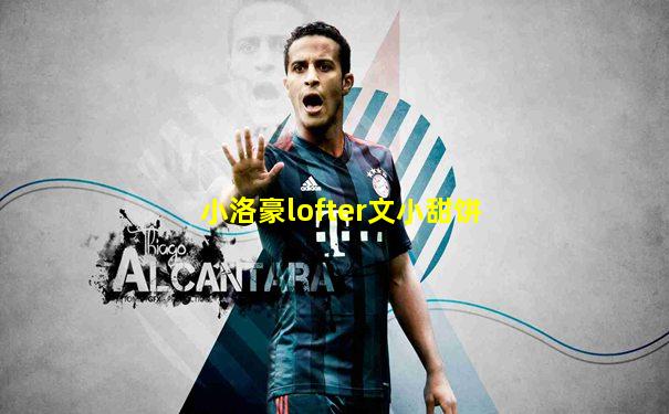 小洛豪lofter文小甜饼
