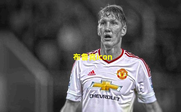 布鲁克icon