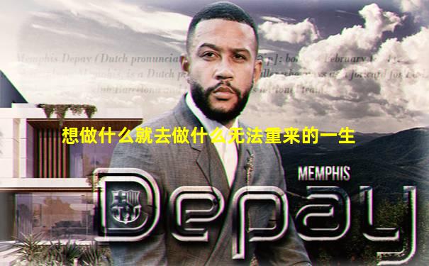 想做什么就去做什么无法重来的一生