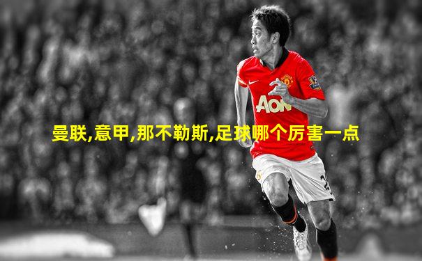 曼联,意甲,那不勒斯,足球哪个厉害一点