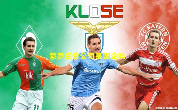 蒙罗联合公司是国企吗