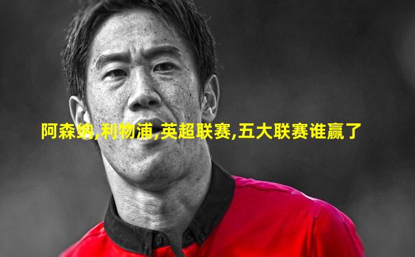 阿森纳,利物浦,英超联赛,五大联赛谁赢了